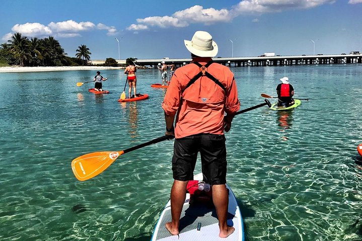 Private Guided Kayak or SUP Eco Adventure - Photo 1 of 13